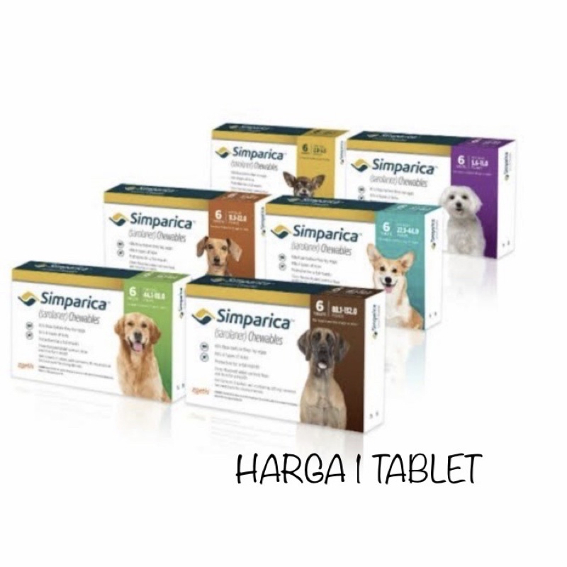 Simparica Obat Kutu Anjing Praktis Dan Aman