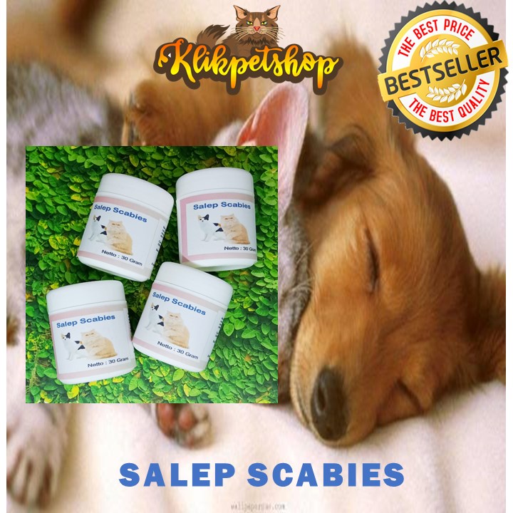 Salep Scabies Khusus Kucing Anjing Jamur Koreng Gudig 30 gram