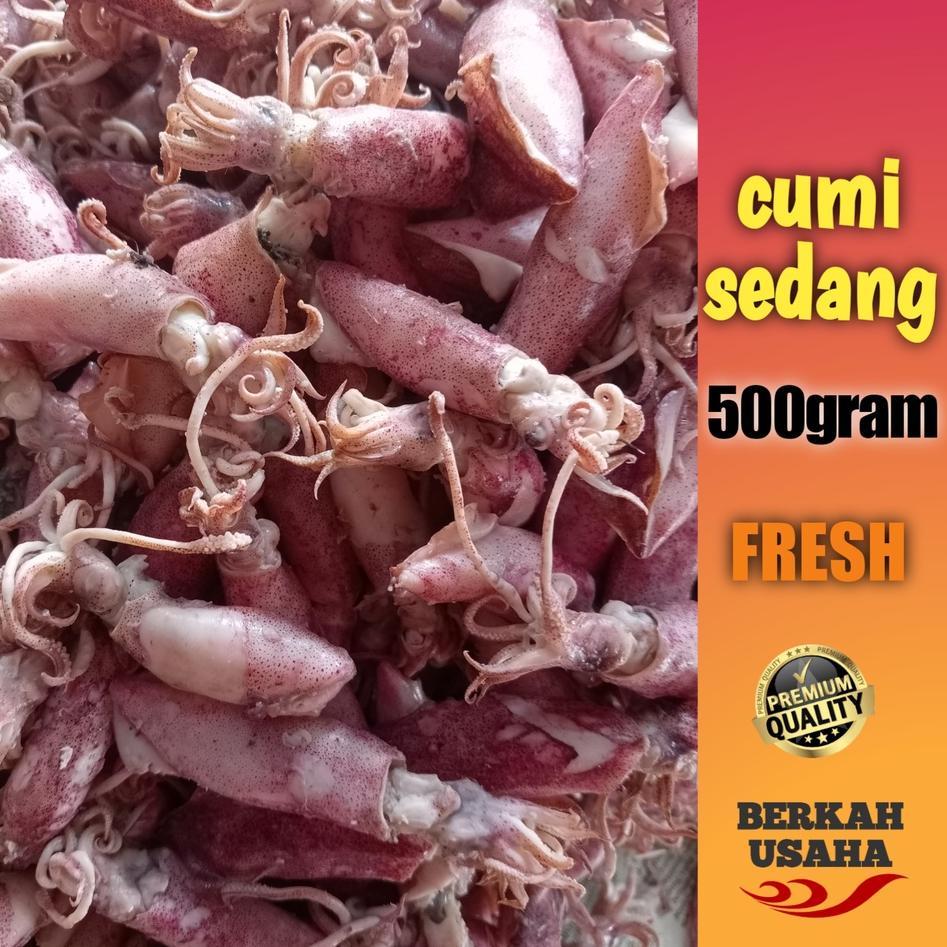 

New Mart IKAN ASIN CUMI ASIN REBUS FRESH size 4-6cm 500gram