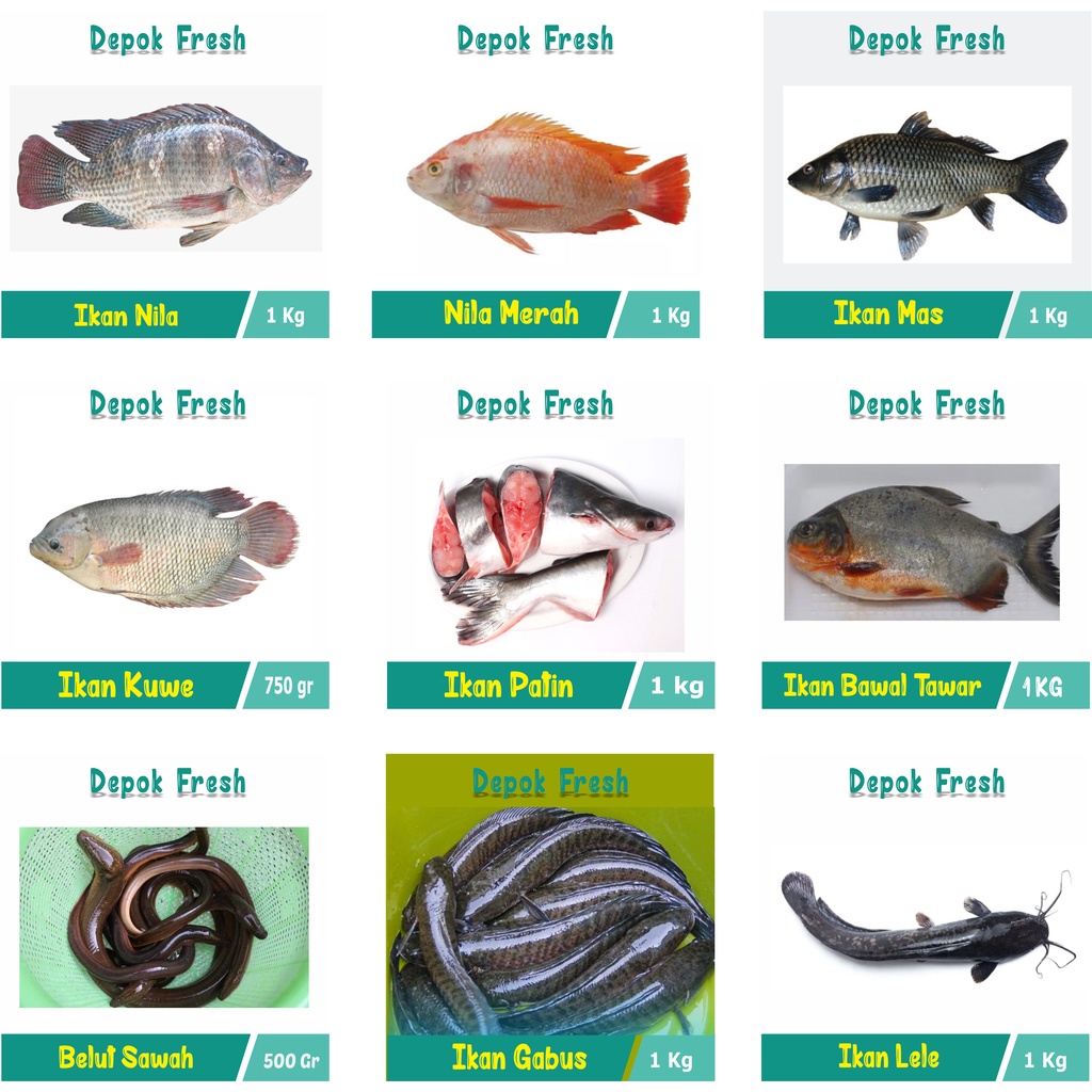 

Ikan Air Tawar Segar /Bawal / Belut / Gabus / Bandeng / Gurame / Mas / Nila Merah / Nila Hitam / Patin / Lele