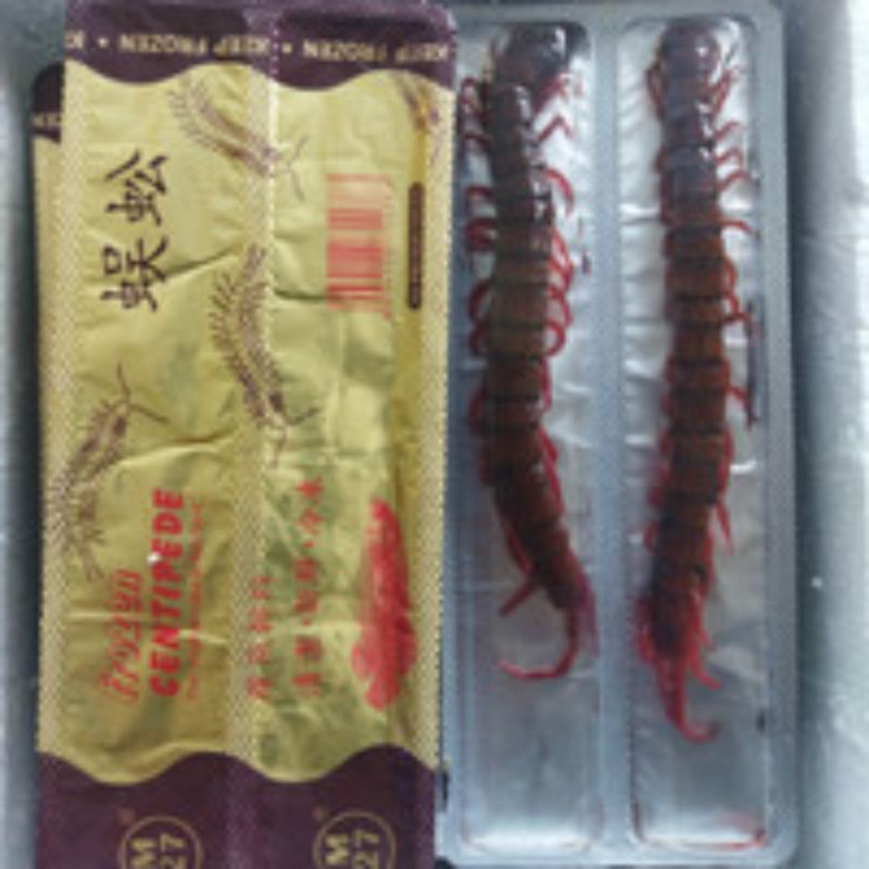 KELABANG BEKU - FROZEN CENTIPEDE PAKAN IKAN PREDATOR ARWANA ISI 2 PCS