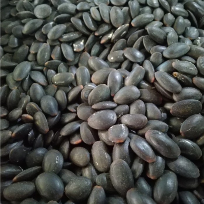 

<<<<<] Biji Kedawung 100gr - Biji Kedaung