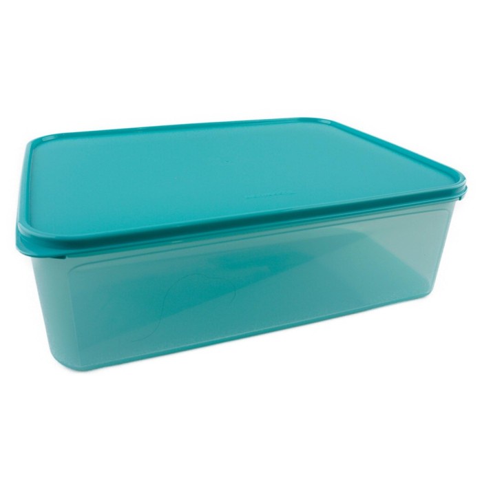 Tupperware Double Crisper