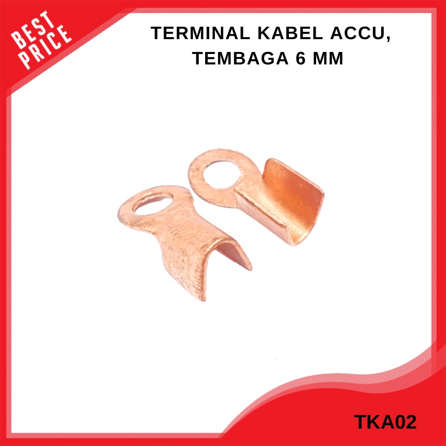 Terminal Kabel Aki Skun Sekun Tembaga 6 mm (25 pcs) Sekun Mata Ayam Tembaga skun kabel massa masa ri