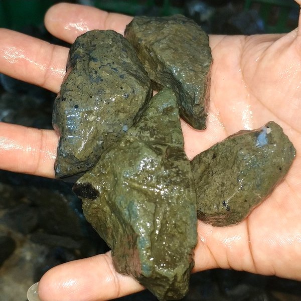 Batu Cincin Bahan Batu Black Opal Kalimaya Bledug Boulder MAJA BANTEN Bakat Jarong Termurah PGS426