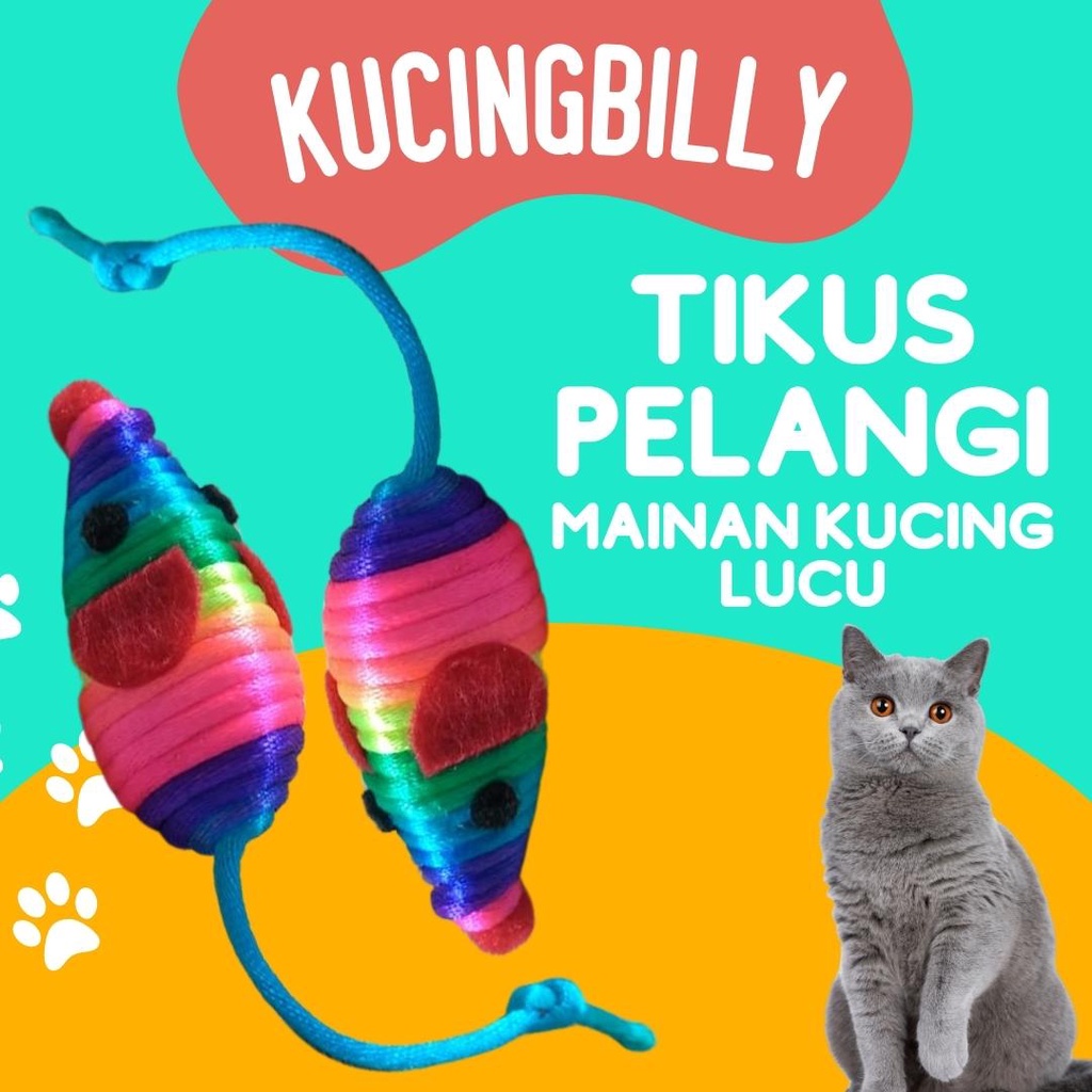 Tikus pelangi mainan kucing anjing