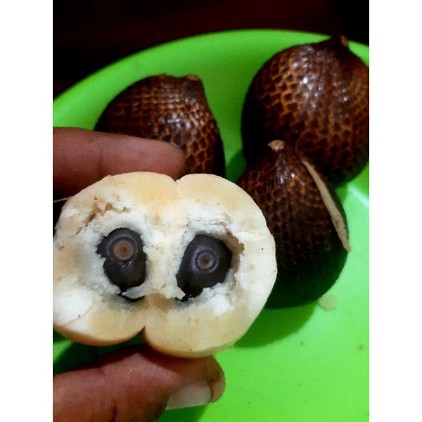 

Salak Apel Sidempuan Manis 1 kg Fresh