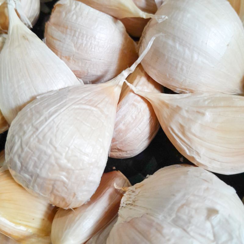 

BAWANG PUTIH KATING 100 GRAM