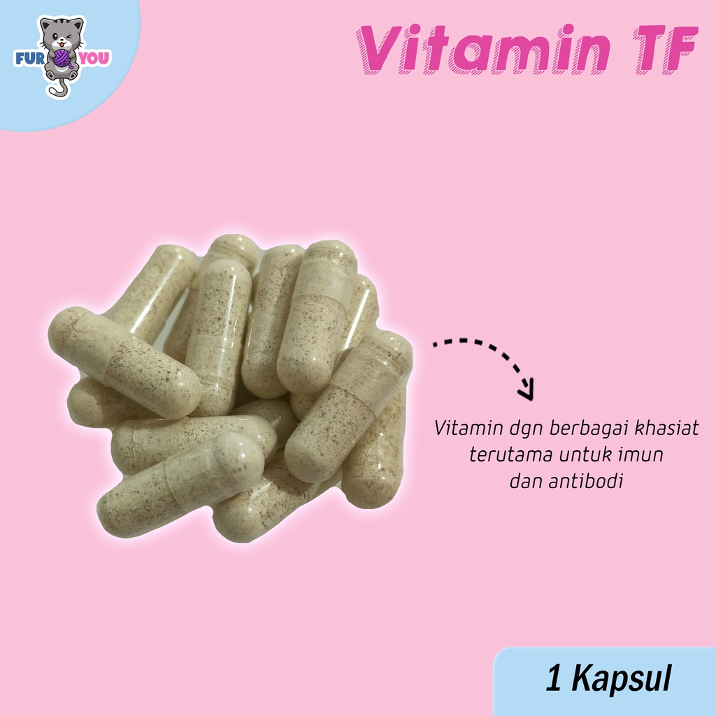 Vitamin TF Imun dan Antibodi