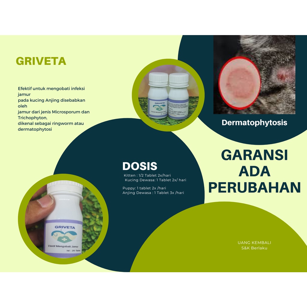 GRIVETA Obat Jamur  Penyakit Gatal Anjing Kucing Bukan Scabies Efektif jamur