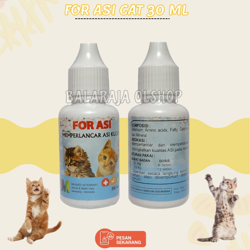 For Asi Cat - Meningkatkan Kualitas Asi Kucing Vitamin Asi Kucing