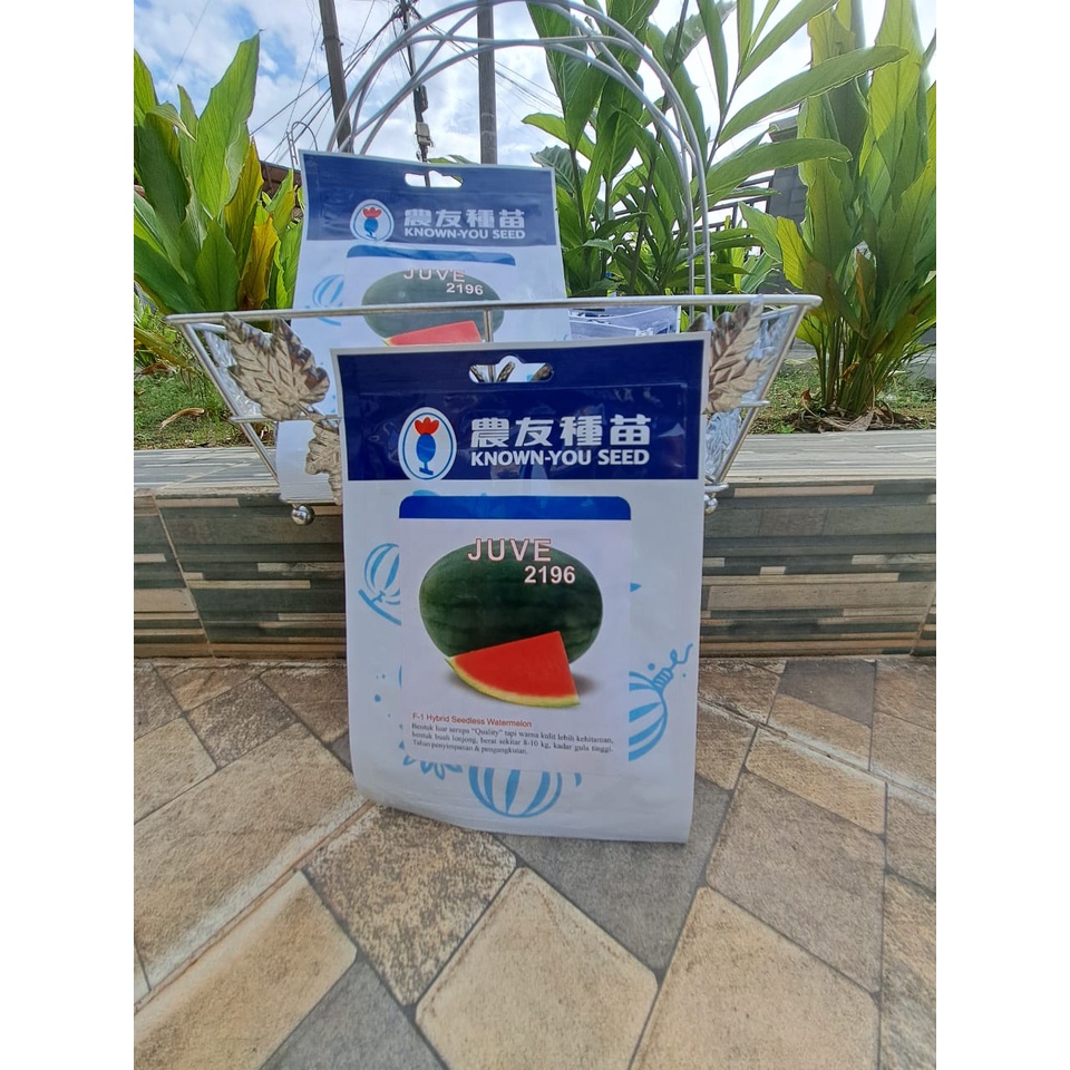 BENIH / BIBIT SEMANGKA TERBAIK MERK JUVE NON BIJI KUALITAS NO 1 DI INDONESIA