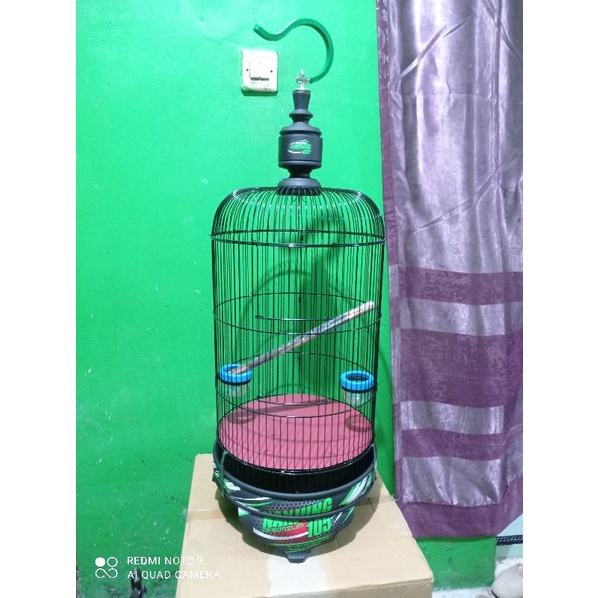 Ay00 Kandang Lovebird Ebod Decal Nanjung Joss Lengkap