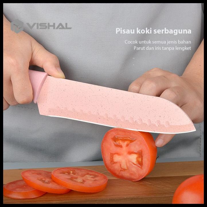 Vishal Knife Set Kitchen Knife Stainless 6 Pcs Premium Pisau Warna Set