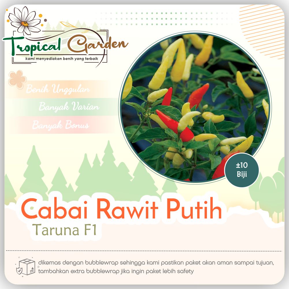 ✿ Tropical Garden ✿ Benih Cabai Rawit Pedas Biji Cabai Putih COD ✅