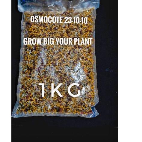 Kepoin ajaz6Z0l Pupuk Osmocote Decastar Slow Release Super 23-10-10 Pupuk Tanman Hias Aglonema Anggr