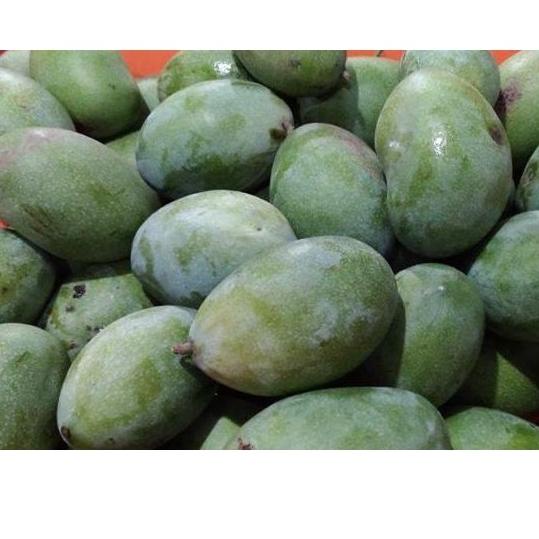 

12.12 HARGA GROSIR Mangga Manalagi per 1 kg grosir