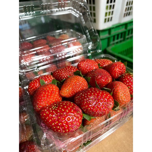 

Strawberry lokal pack