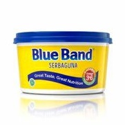 

Blue Band Tube serbagjuna 250 gram