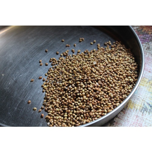 

Ketumbar Hitam Biji (1 kg)
