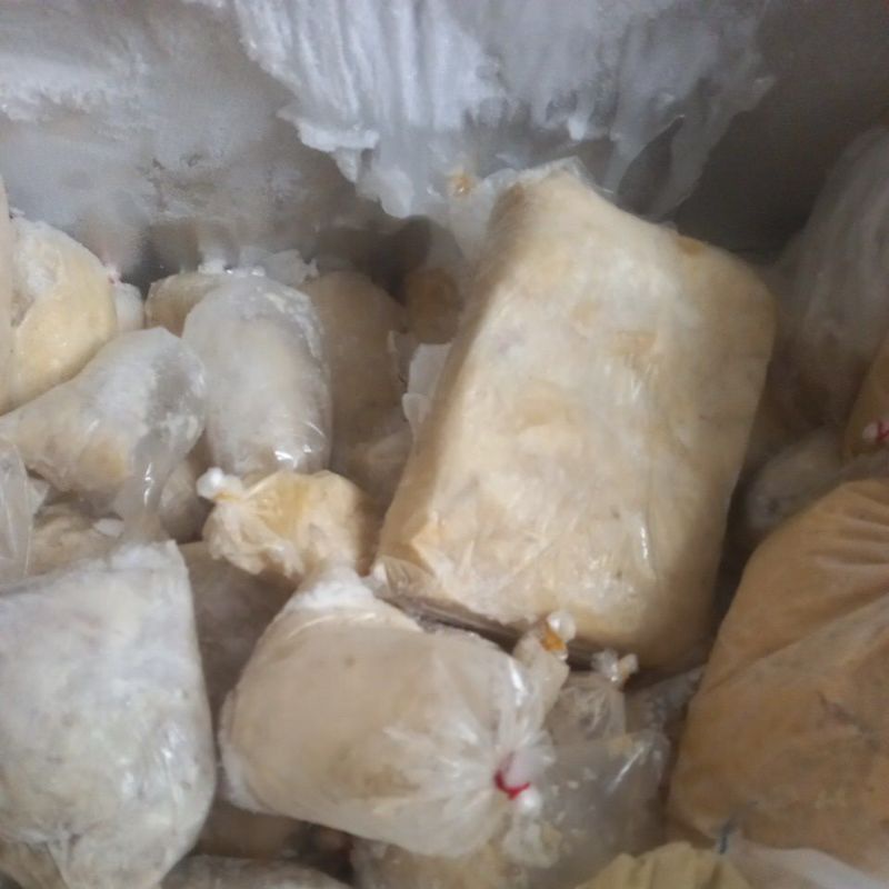 

tempoyak durlec