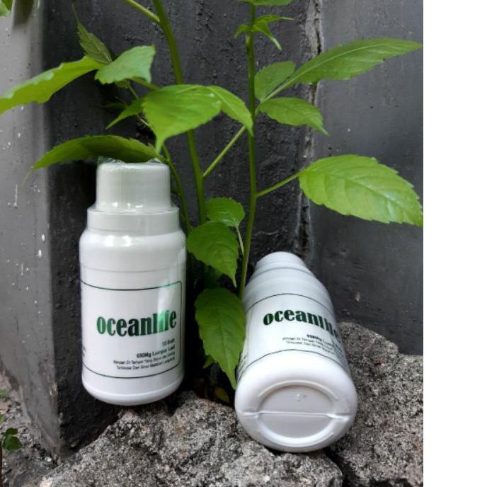 

➮ OCEANLIFE BRC / LUMPUR LAUT ➪