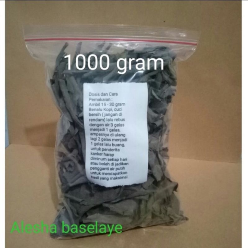 

Benalu kering 1 kg / teh daun benalu
