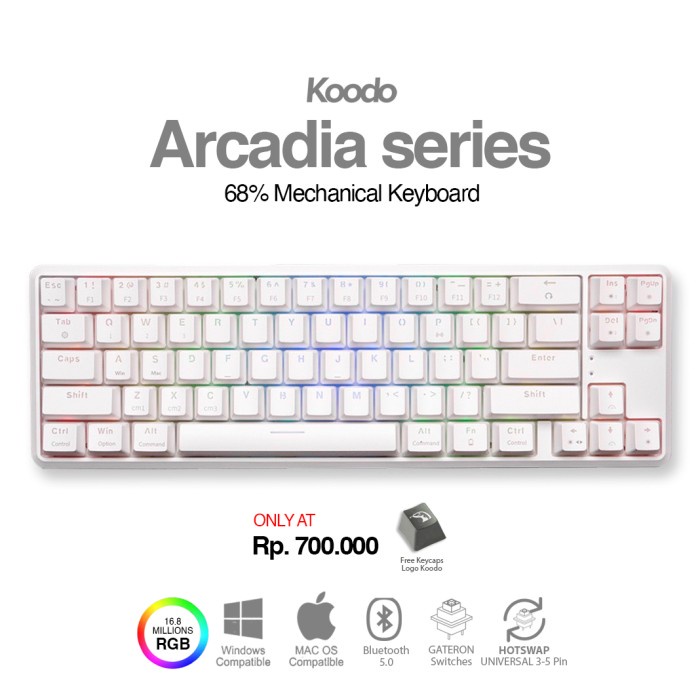 Terlaris Koodo Arcadia 68% Layout Mechanical Keyboard Gateron White Case