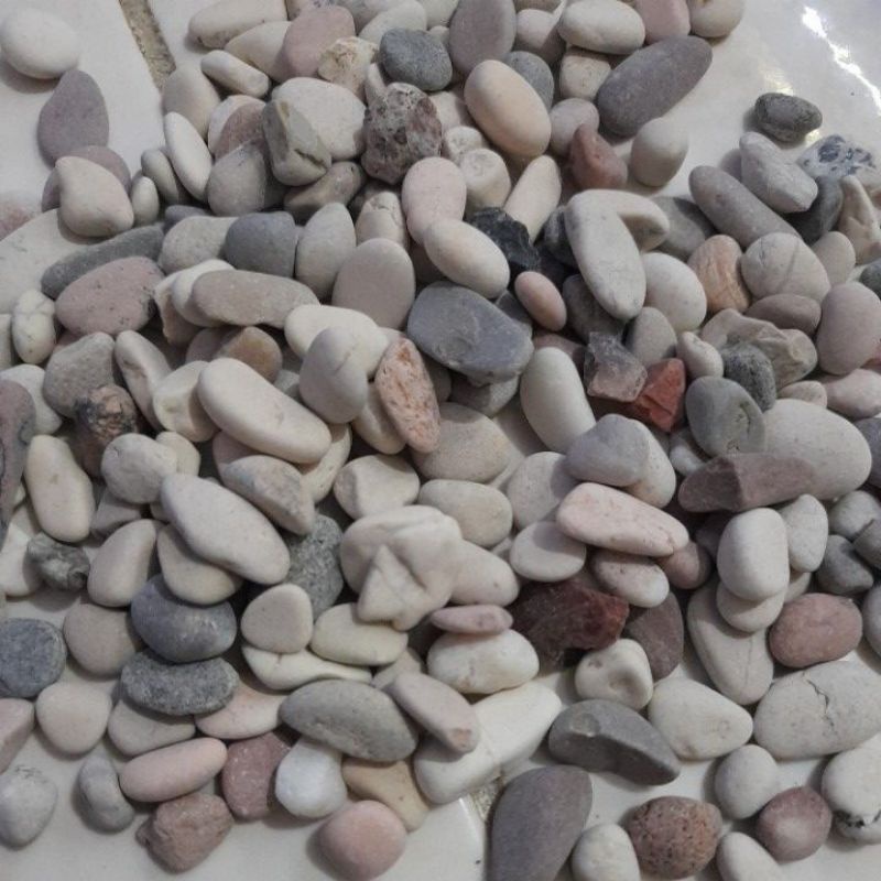 Batu pancawarna batu hias aquarium tanaman taman