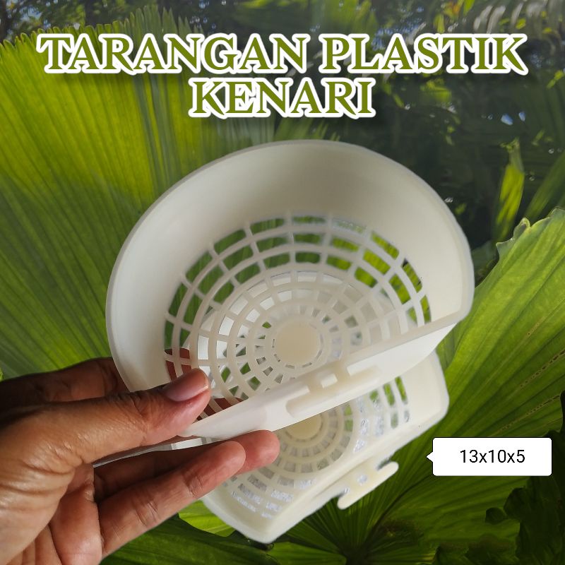 Tarangan wadah bertelur burung kenari plastik
