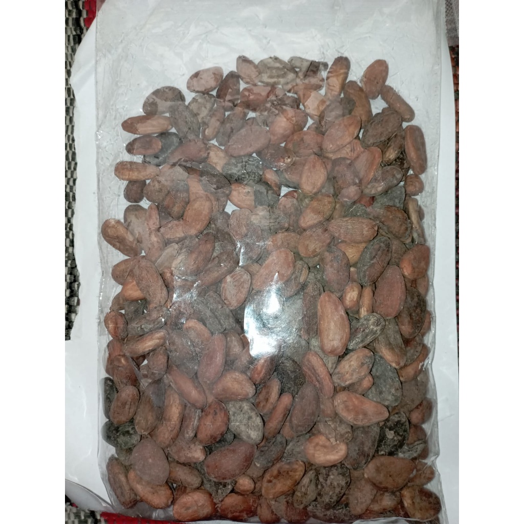 

Biji Coklat Asli 500gr Kering Cacao Beans