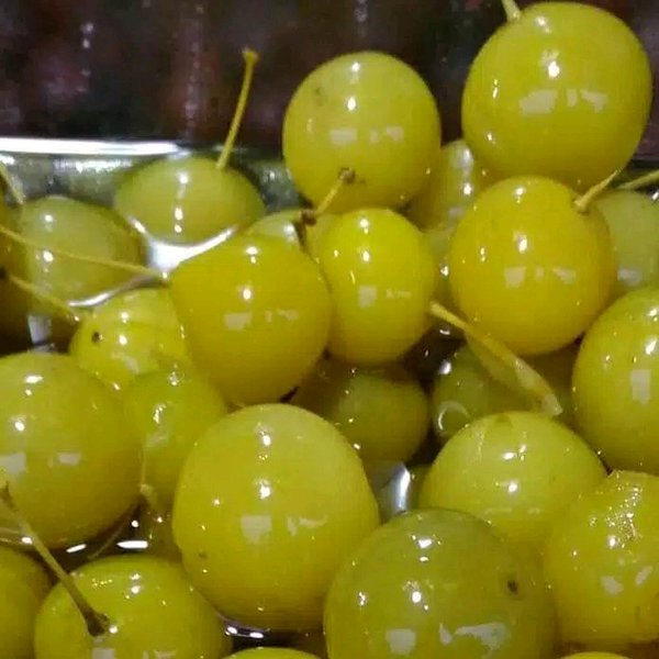 

Manisan Buah Anggur Bogor Basah 1 Kg