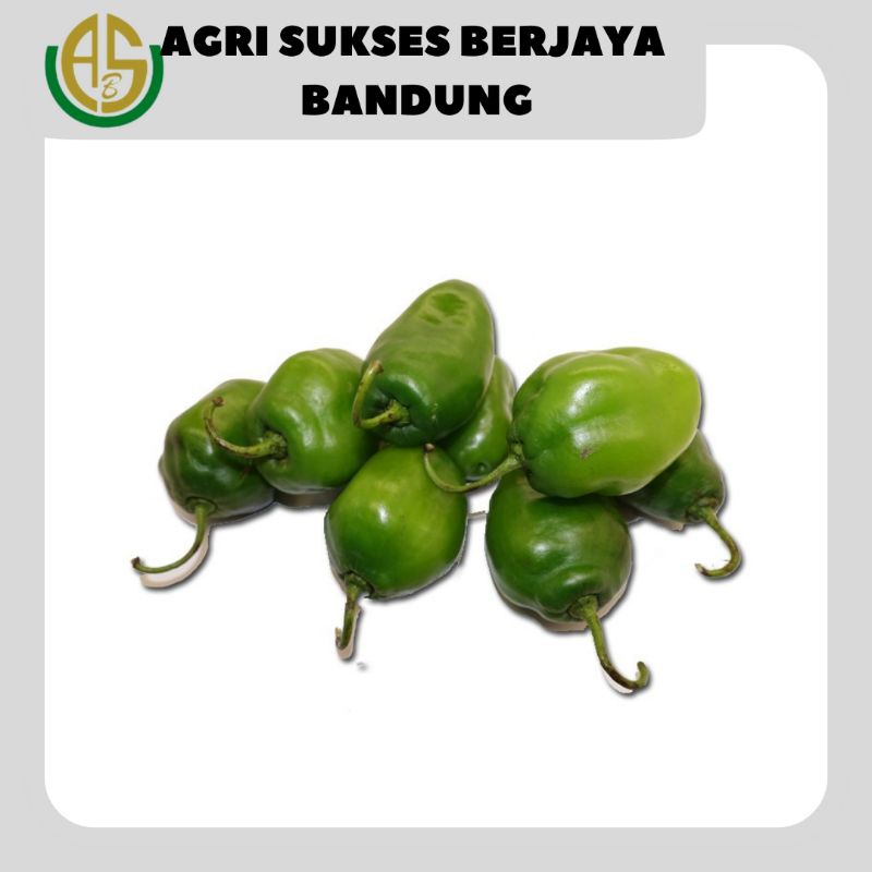 

Cabe Gendot