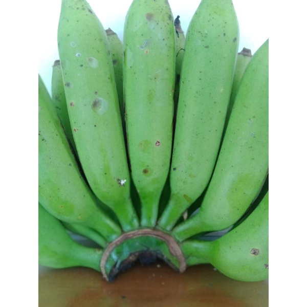 

PISANG JANTEN/ULI_TUA 1 KG(20-25BUAH)
