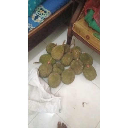 

Durian