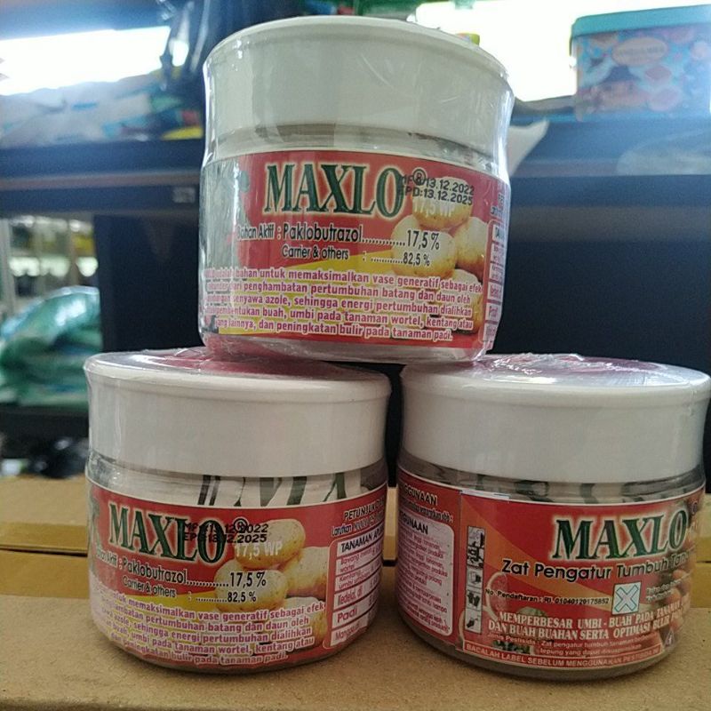 ZPT MAXLO  17,5wp zpt pembesar umbi dan buah, booster buah maxlo