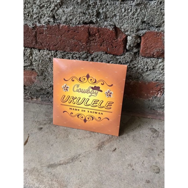 Cowboy senar ukulele 4 string's