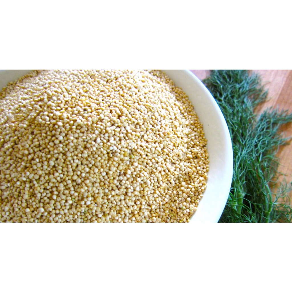 Ketumbar Putih (500 gram) / Coriander Seeds