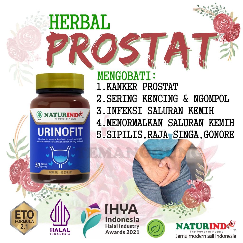 Obat Prostat isk Ampuh Herbal cina Sering Kencing nanah darah tidak tuntas Infeksi saluran kencing a