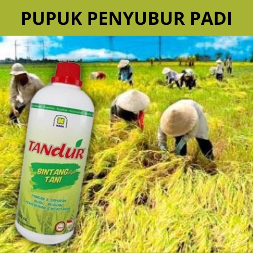 Crystalcove12 Pupuk Organik Cair Untuk Tanaman Padi / Pupuk Organik Cair Buah / Pupuk Organik Padi