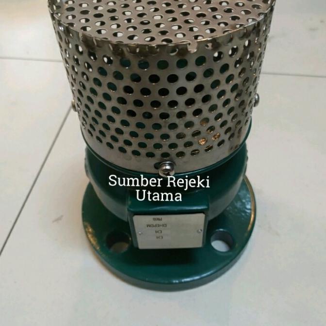 Foot Valve Cast Iron Gala Flange 10" Inch