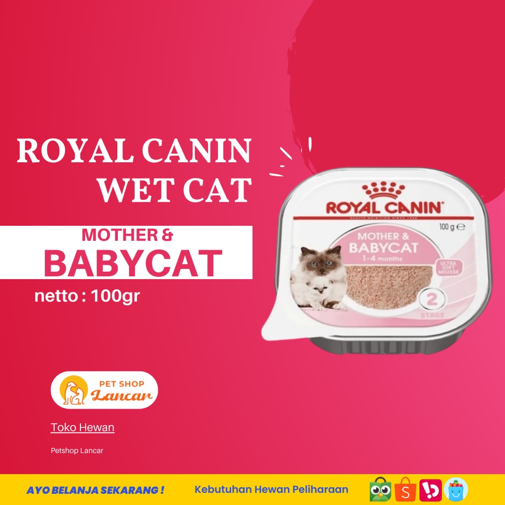 Royal Canin Mother &amp; Baby Cat Wet Makanan Induk &amp; Anak Kucing 100gr