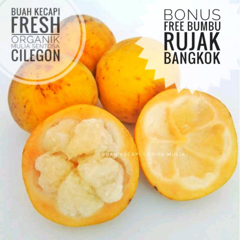 

Buah Kecapi manis fresh organik 1 kg / Kecapi daun / kecapi lumut segar organik baru petik