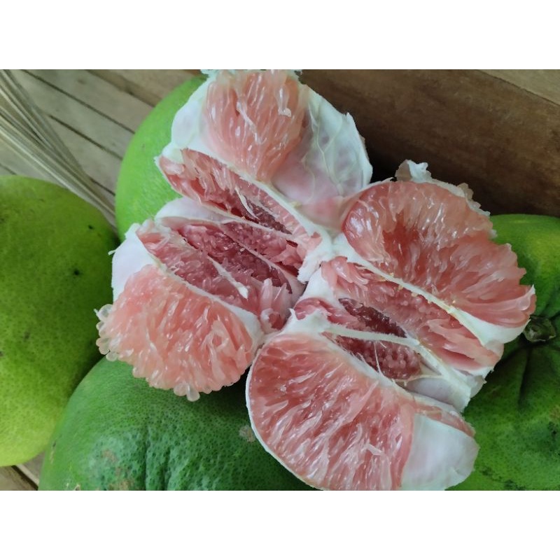 

JERUK BALI MADU ASLI BAGENG || MURAH MANIS ,SPEK KUPAS BERAT 5KG