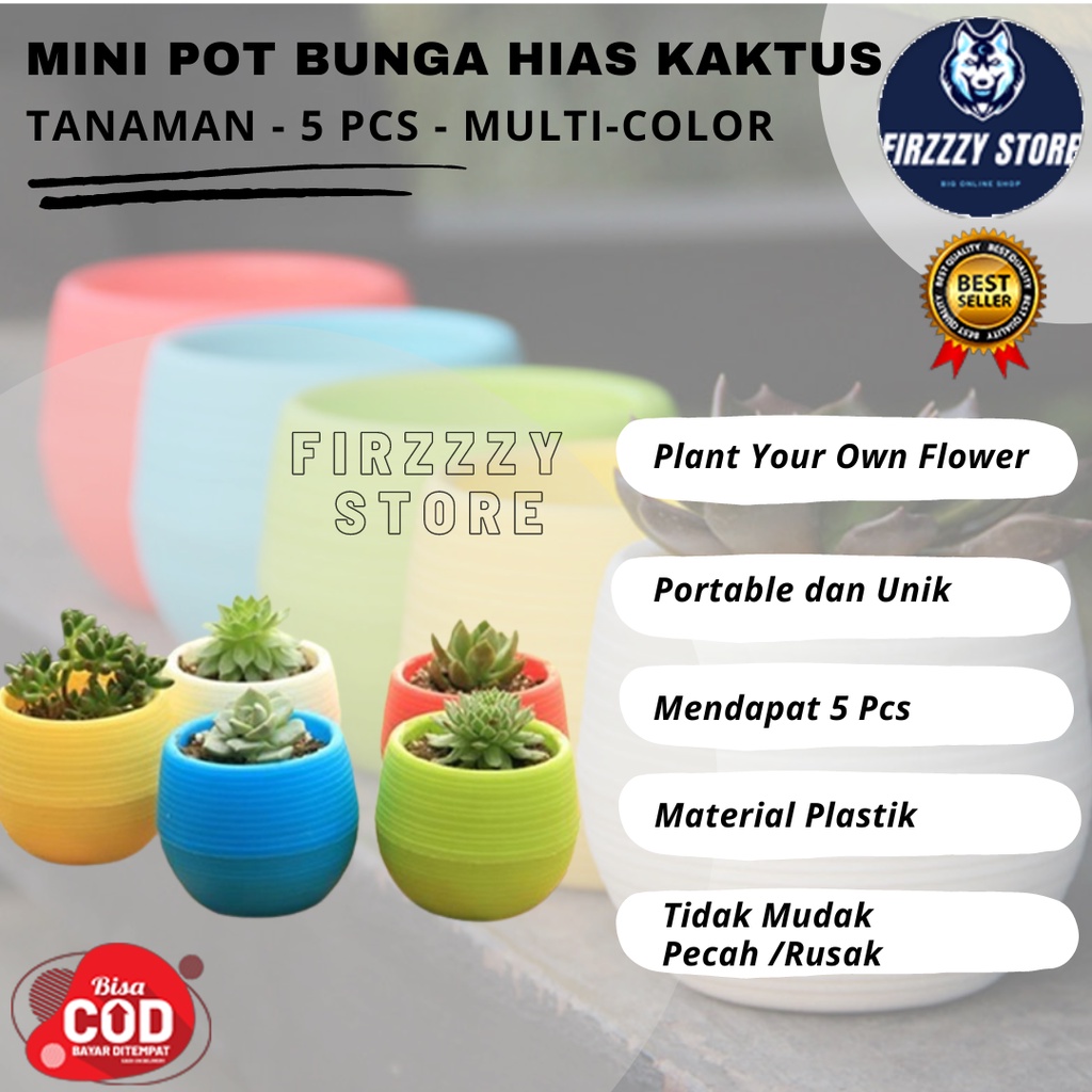 Mini Pot Bunga Hias Kaktus Tanaman - 5 PCS - Multi-Color