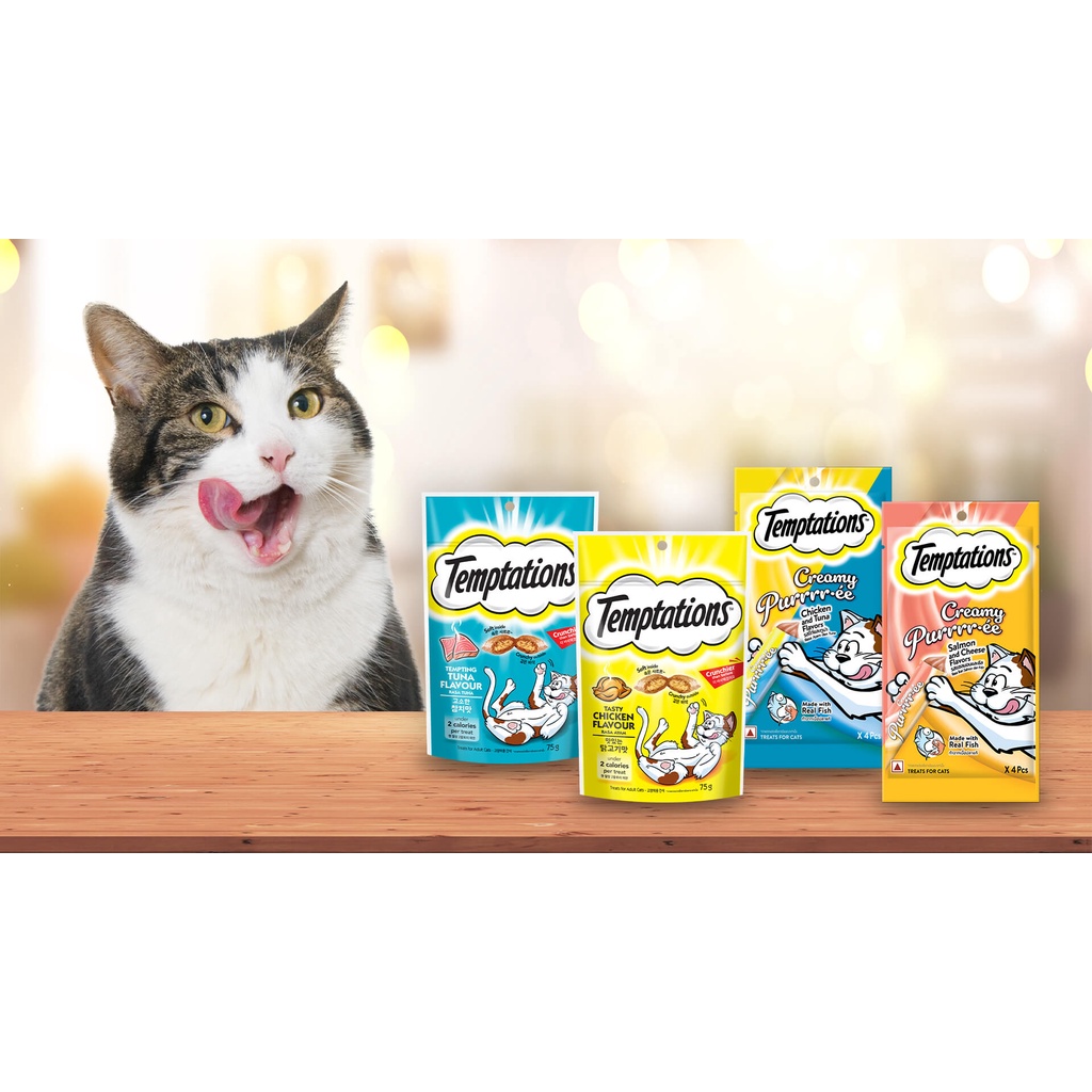 Temptations Cat Snacks 30g All Varian - Snack / Camilan Kucing