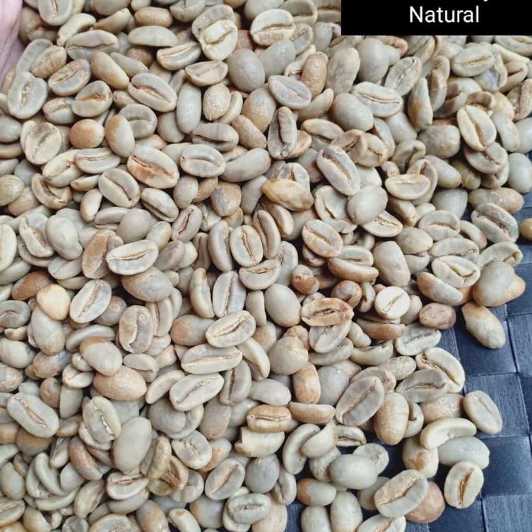 

☏ Green Bean Arabica Gayo Natural G1 ☜