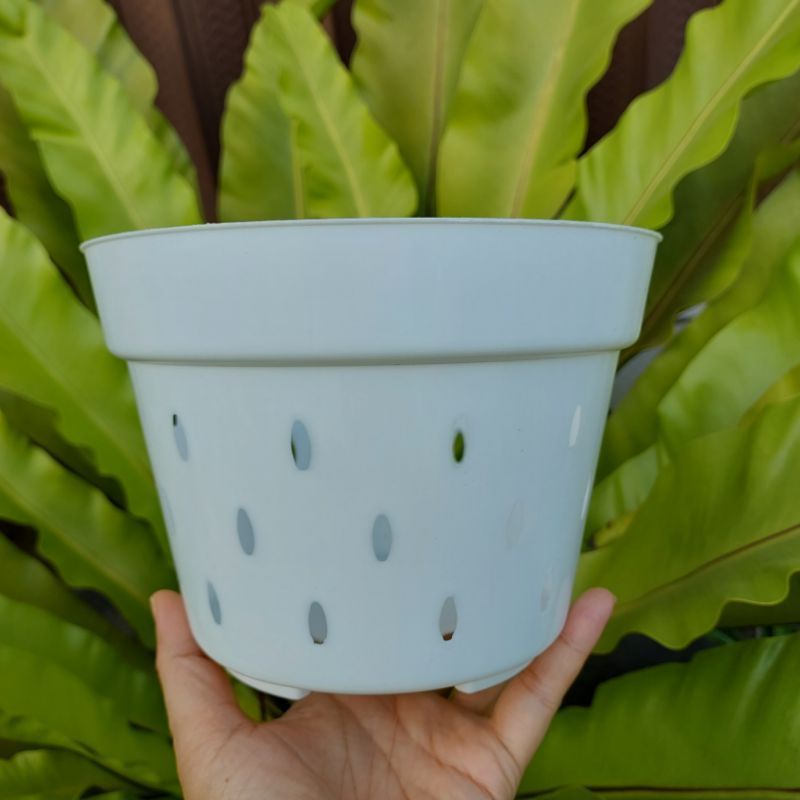 POT ANGGREK NKT BASIC 20 (18 cm) LUBANG BANYAK