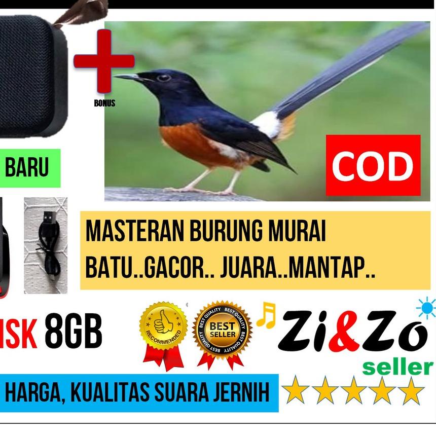 ✦ Speaker Mini T5 USB 8GB Bonus Isi MP3 Masteran Burung Murai Batu Gacor ➫