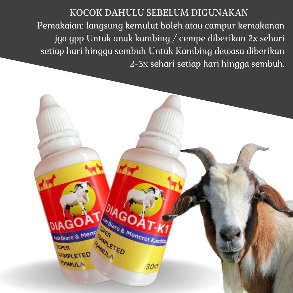 Obat Diare Mencret Kambing Domba Ampuh DIAGOAT K 1 FEZONE